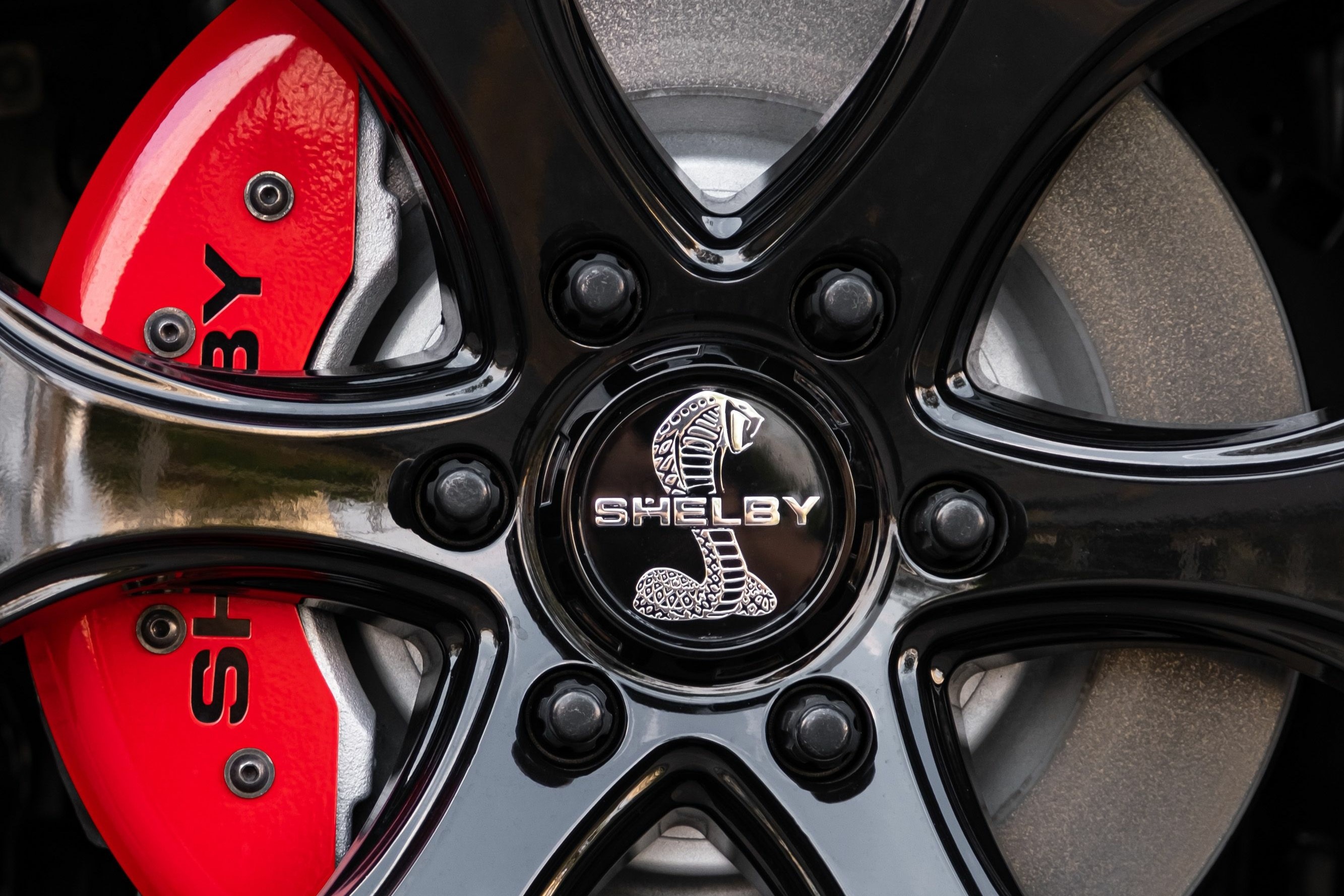 wheel and brake rotor